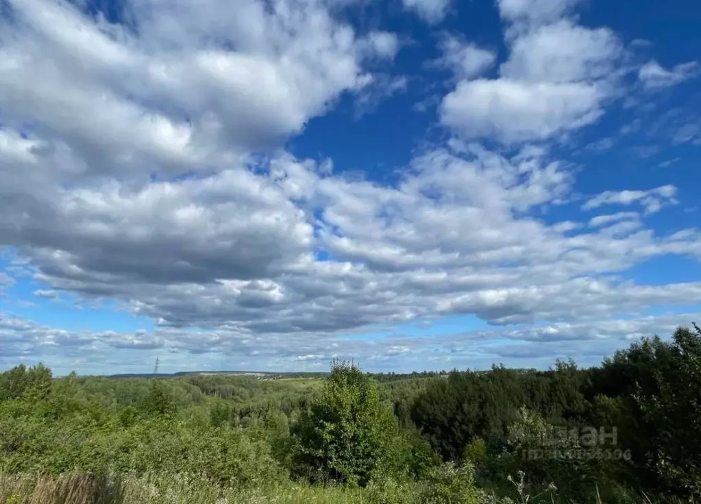 Участок в Нижегородская область, Богородский муниципальный округ, с. ... - Фото 1