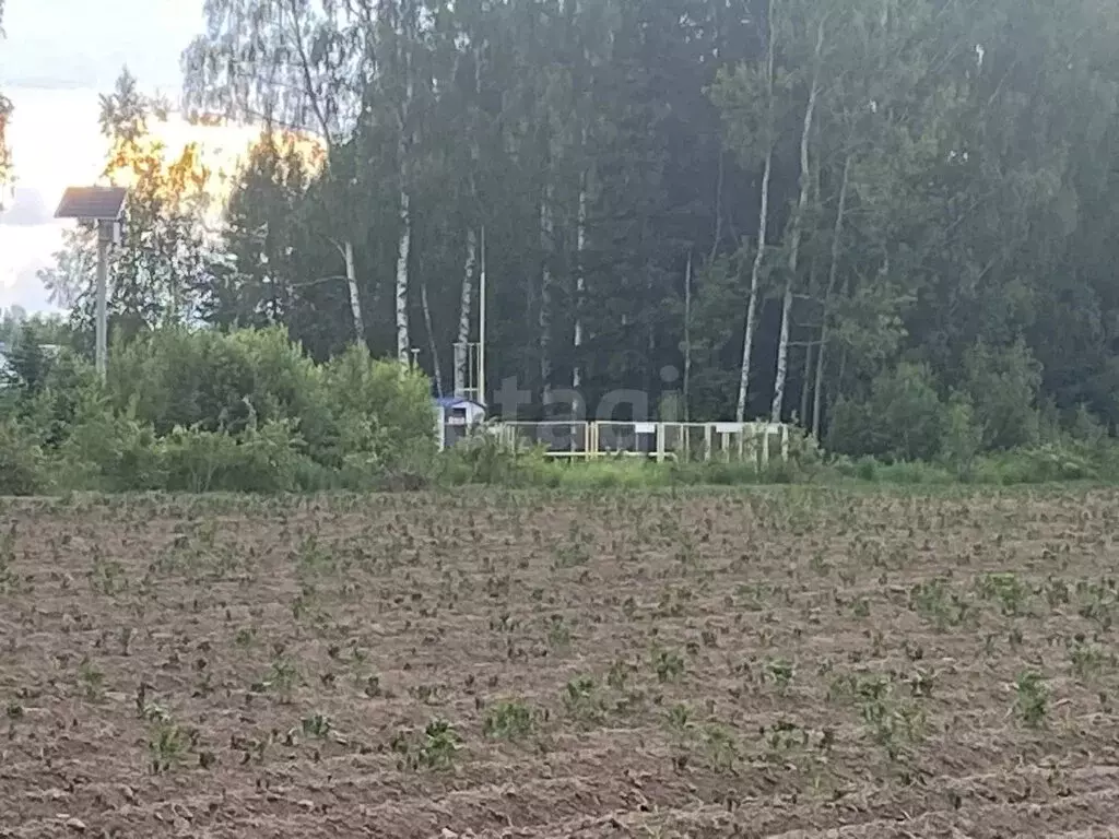 Участок в Нижегородская область, Городецкий муниципальный округ, ... - Фото 1