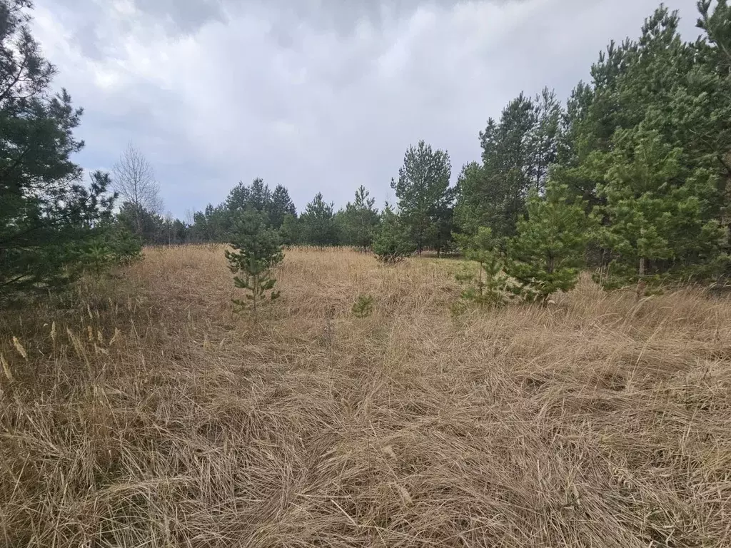 Участок в Воронежская область, Рамонский район, Новоживотинновское ... - Фото 2