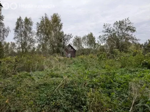 участок в вологда, садоводческое товарищество незабудка, 7-я улица, 3 . - Фото 0