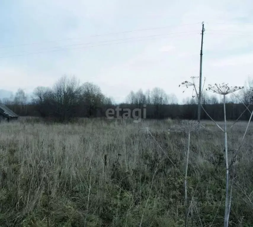 Участок в Ярославская область, Ярославль Дудкино СНТ,  (4.0 сот.) - Фото 1