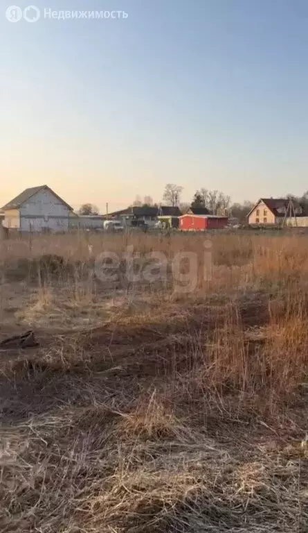 Участок в Калининградская область, Гурьевский муниципальный округ, ... - Фото 1