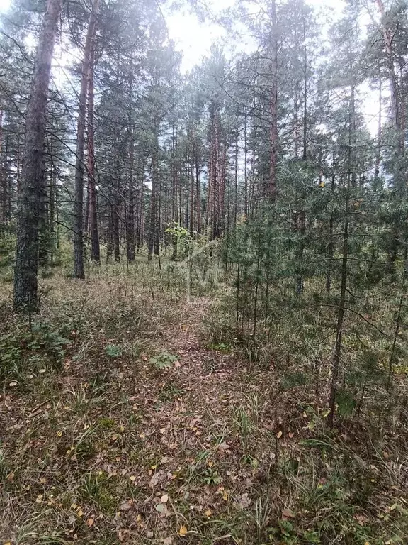 Участок в Владимирская область, Собинский муниципальный округ, д. ... - Фото 2