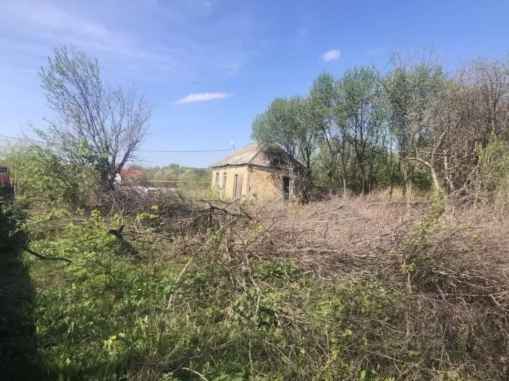 Участок в Белгородская область, Белгородский район, Головинское с/пос, ... - Фото 0