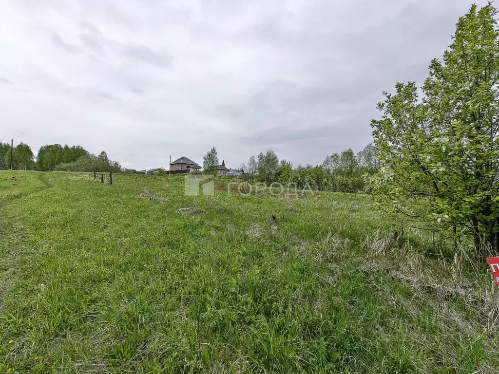 Участок в Новосибирская область, Тогучинский район, Репьевский ... - Фото 1