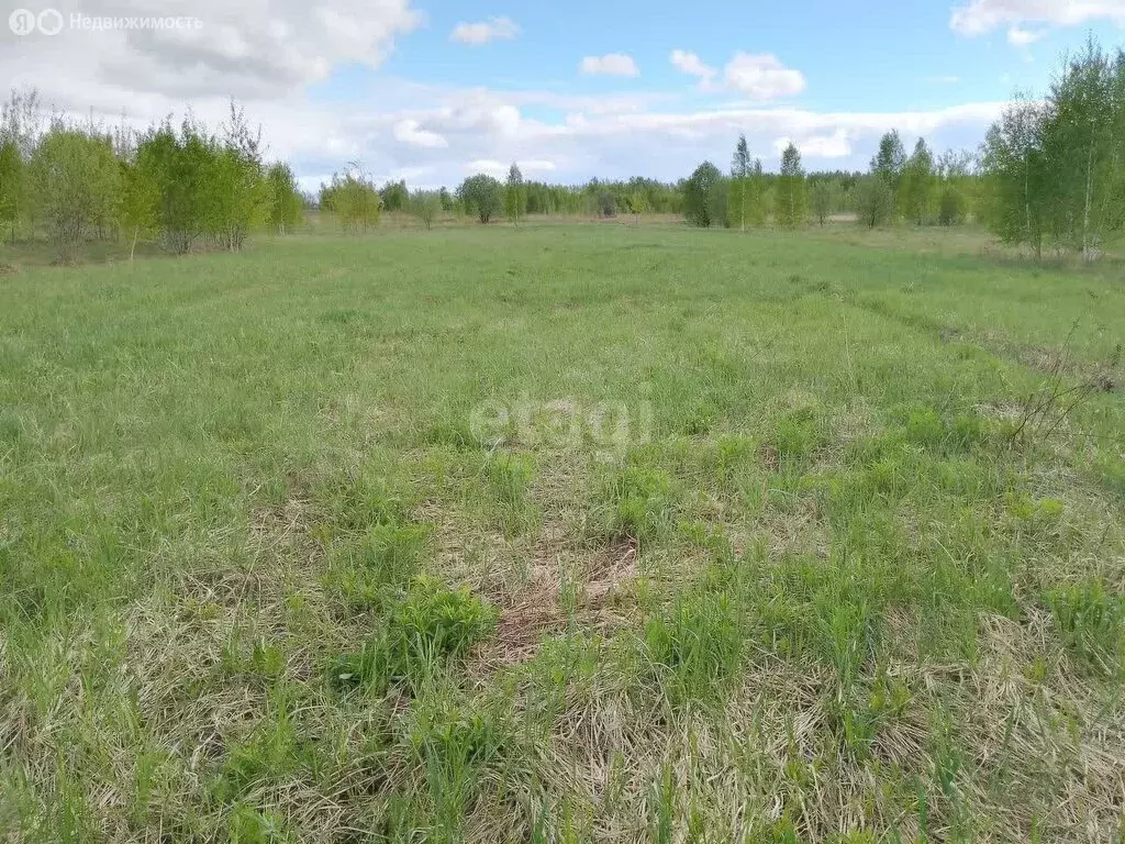 Участок в городской округ Нижний Новгород, деревня Новая (8 м) - Фото 1