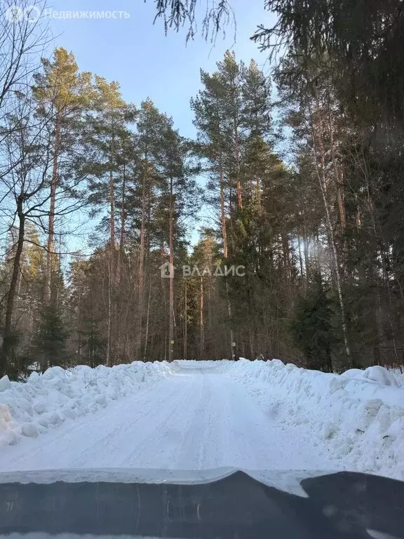 Участок в Владимирская область, Собинский муниципальный округ, СНТ ... - Фото 1