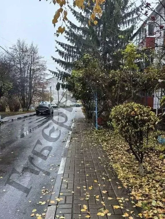 3-к кв. Белгородская область, Белгородский район, Дубовское с/пос, ... - Фото 1