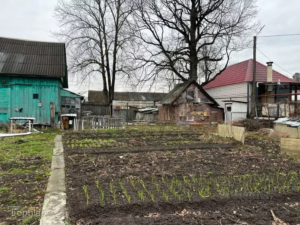Дом в Брянская область, Брянск Окружная ул. (67 м) - Фото 2