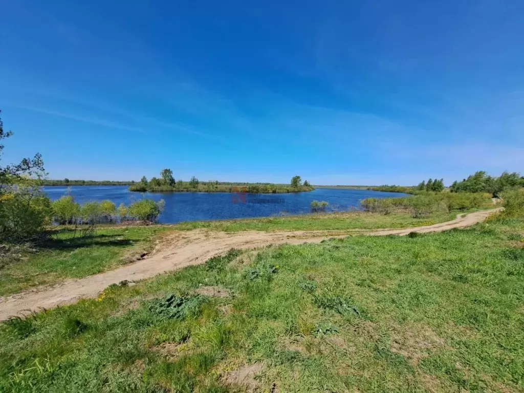 Участок в Тюменская область, Тюменский район, д. Есаулова ул. Гайдара, ... - Фото 0