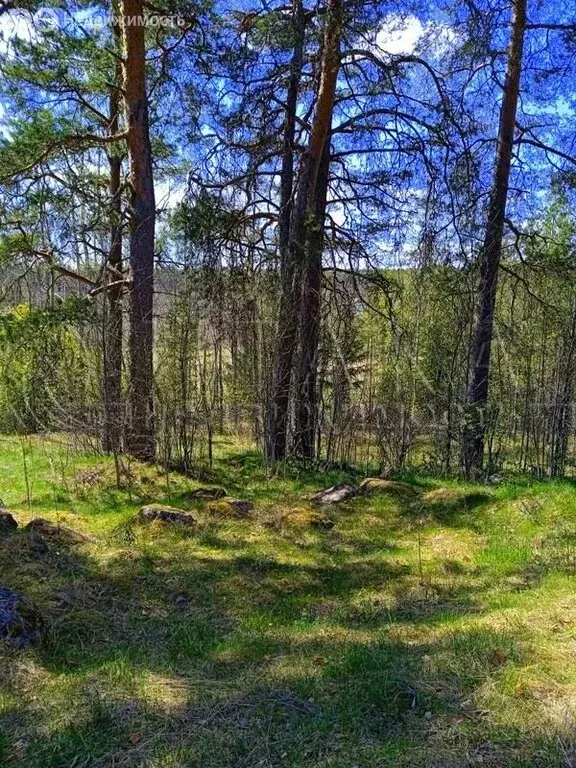 Участок в Выборгский район, Селезнёвское сельское поселение, деревня ... - Фото 1