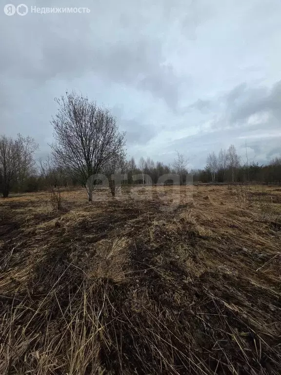 Участок в посёлок городского типа Советский, улица Юрия Мокосеева (10 ... - Фото 1