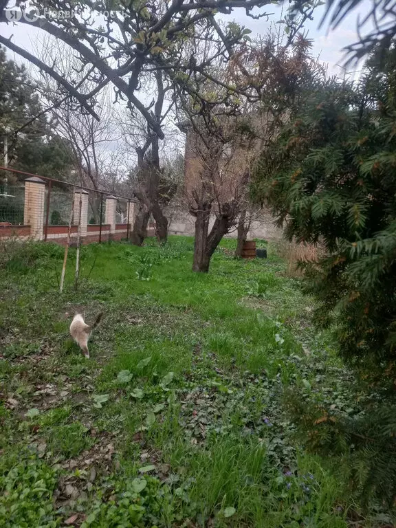 Участок в Ростов-на-Дону, 3-я Кольцевая улица, 4 (6 м) - Фото 1