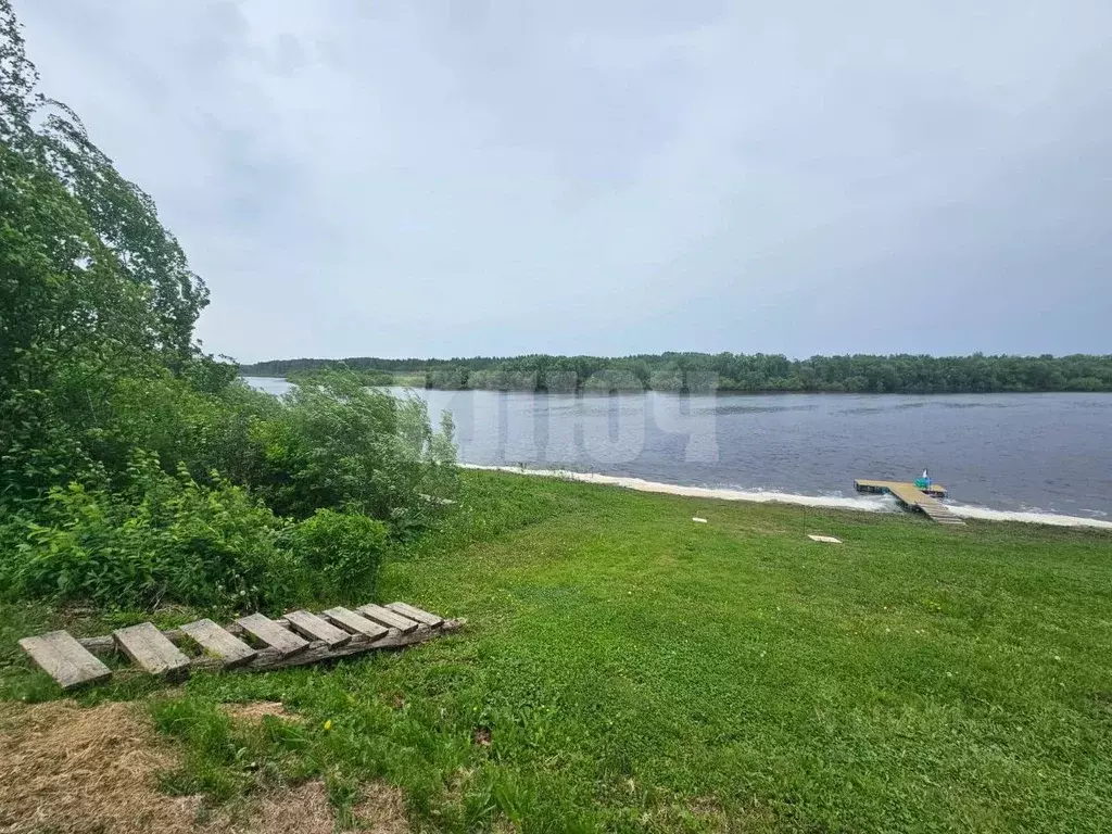 Участок в Вологодская область, Усть-Кубинский муниципальный округ, д. ... - Фото 2