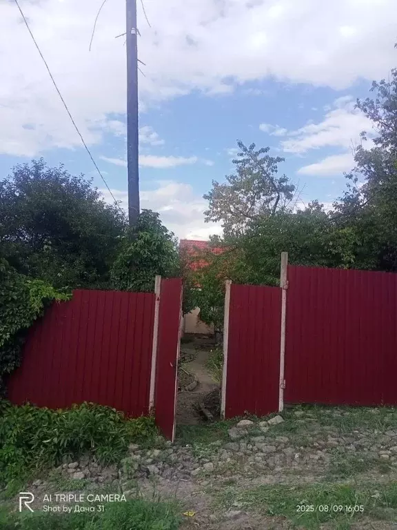 Дом в Белгородская область, Белгородский район, Никольское с/пос, с. ... - Фото 2