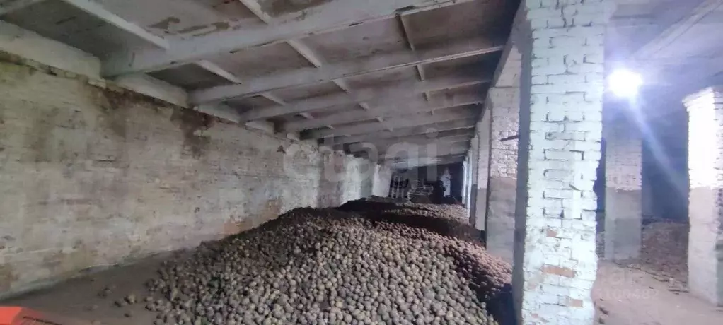 Склад в Новосибирская область, Искитимский район, Чернореченский ... - Фото 1