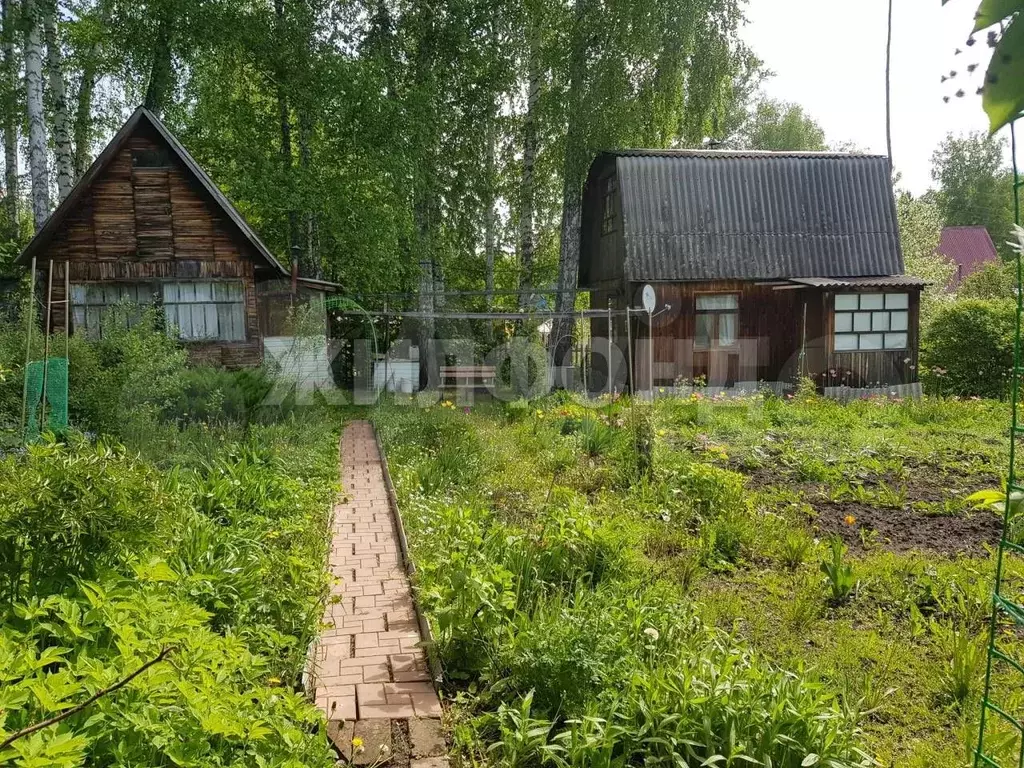 Дача 32 м на участке 8 сот. - Фото 0