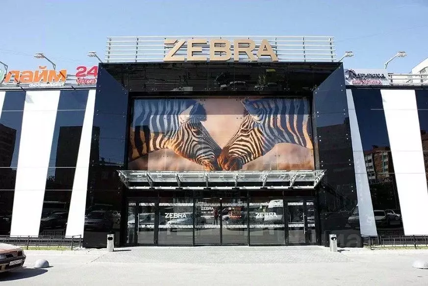 Помещение свободного назначения в Санкт-Петербург просп. Косыгина, ... - Фото 2