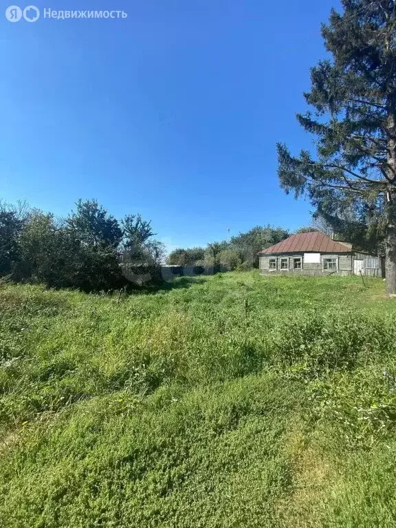 Участок в Брянская область, Выгоничское городское поселение, село ... - Фото 1