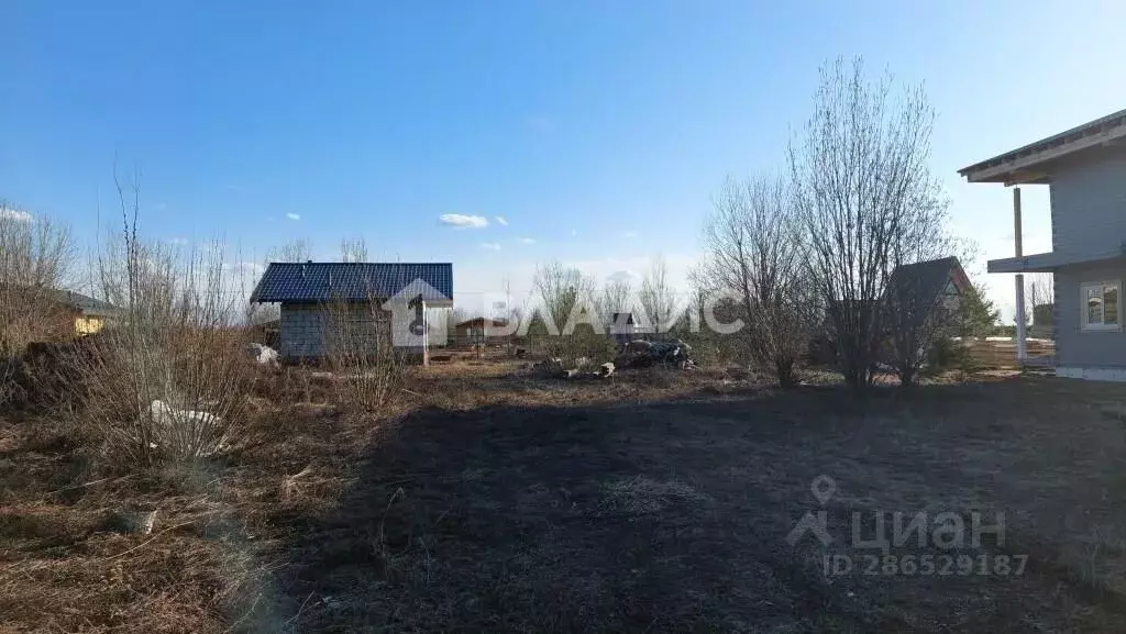 Участок в Пермский край, д. Большакино ул. Центральная (10.34 сот.) - Фото 1