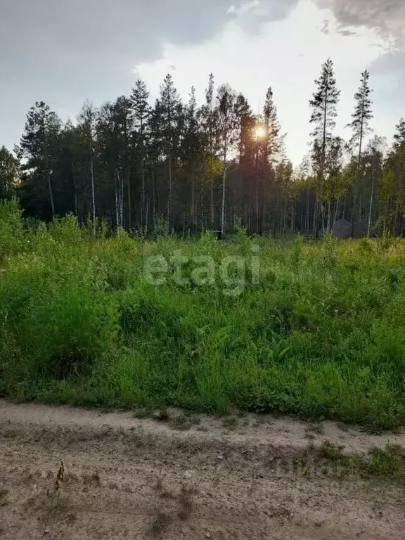 Участок в Свердловская область, Ревда муниципальный округ, с. Кунгурка ... - Фото 1