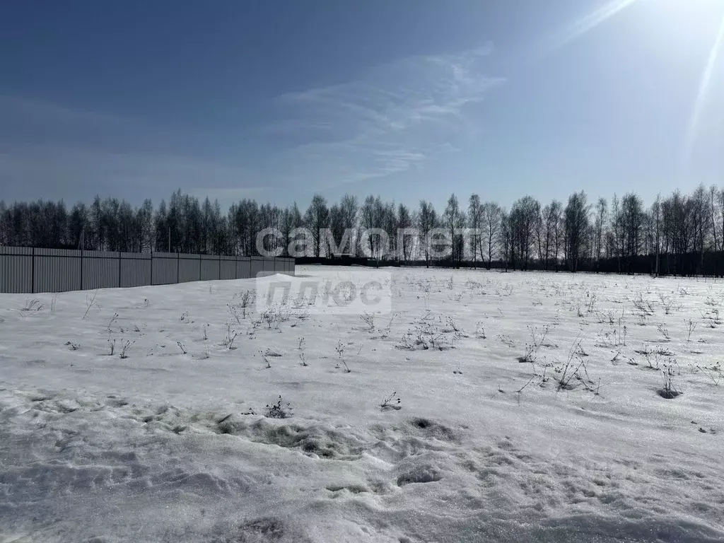 Участок в Московская область, Раменский муниципальный округ, ... - Фото 1