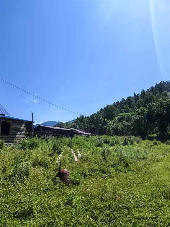 Участок в Алтай, Чемальский район, с. Анос Молодежная ул. (10.24 сот.) - Фото 1