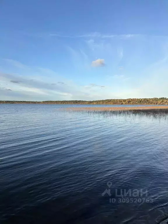 Участок в Ленинградская область, Всеволожский район, Куйвозовское ... - Фото 0