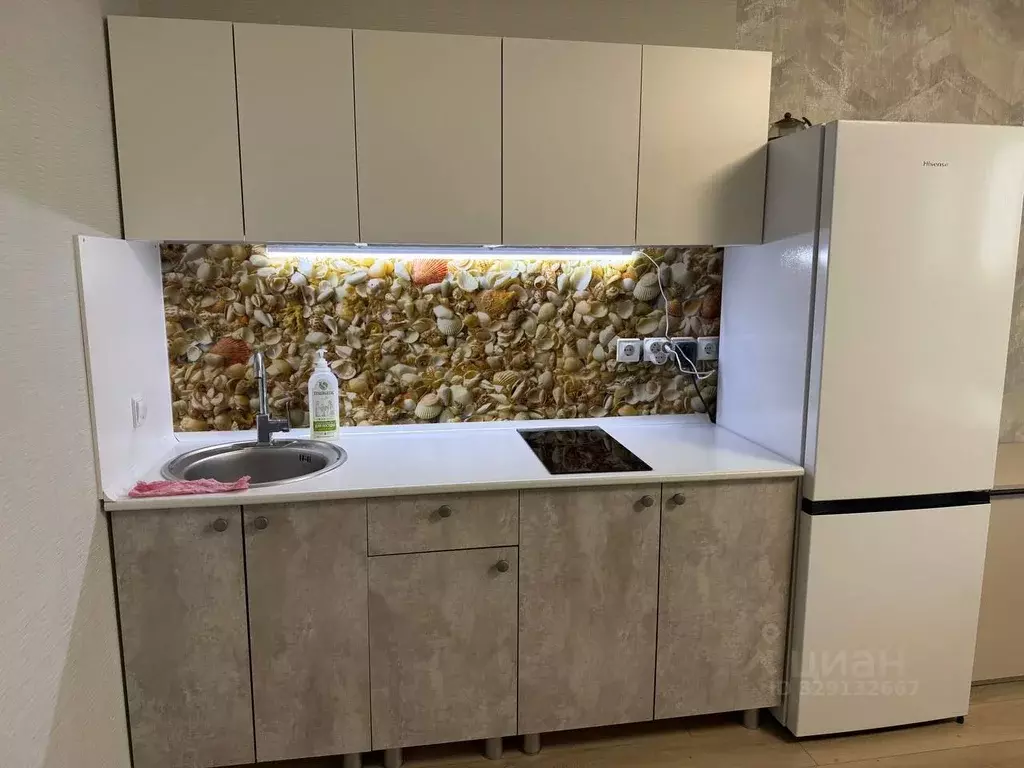 Студия Пермский край, Пермь Краснополянская ул., 34 (26.0 м) - Фото 1