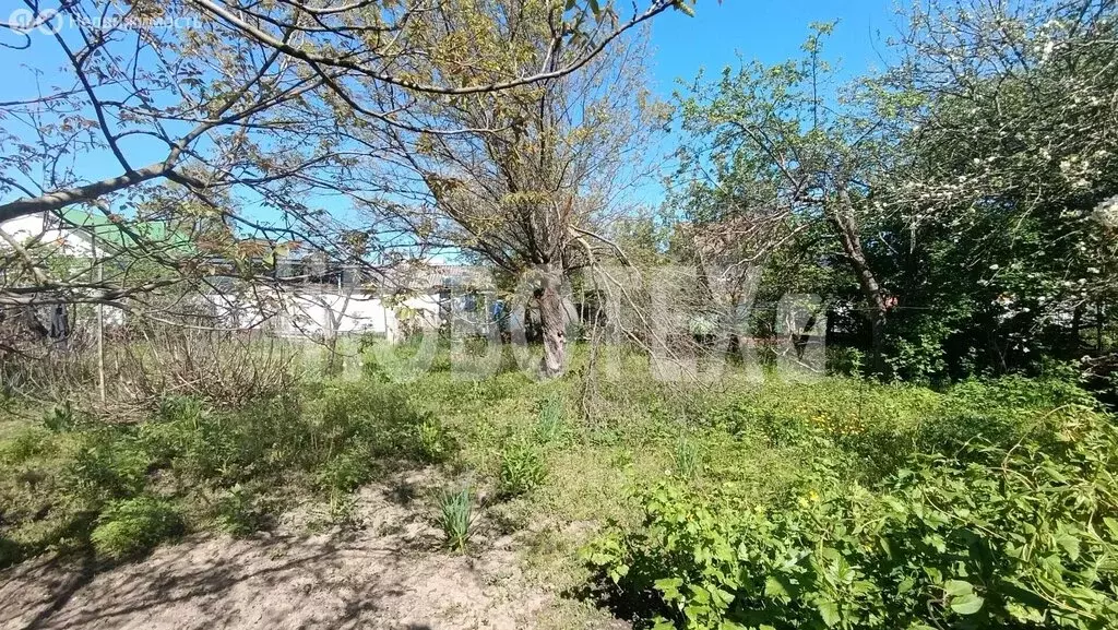 Дом в Апшеронск, Школьная улица, 7 (48.9 м) - Фото 2