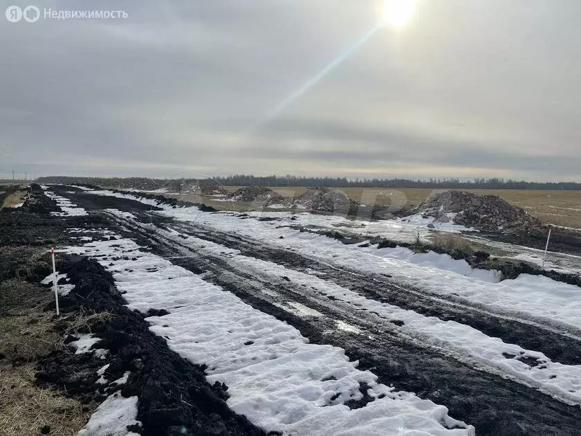 Участок в Тюменский район, Горьковское муниципальное образование (10 ... - Фото 0