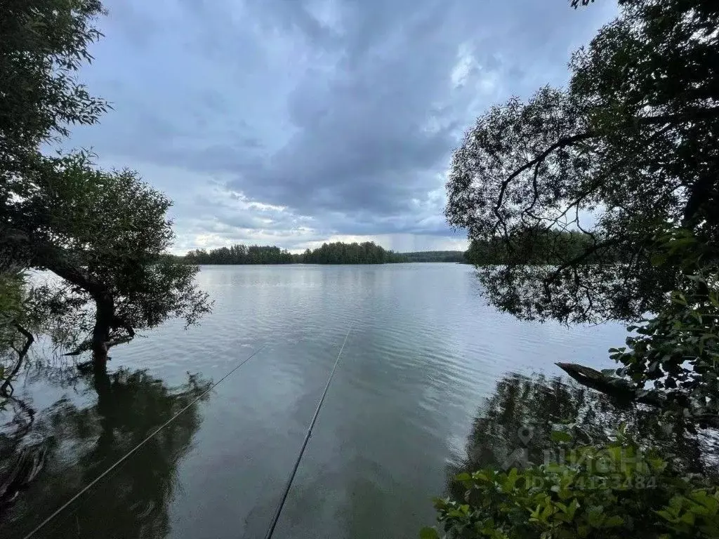 Участок в Псковская область, Себежский район, Идрица городское ... - Фото 2