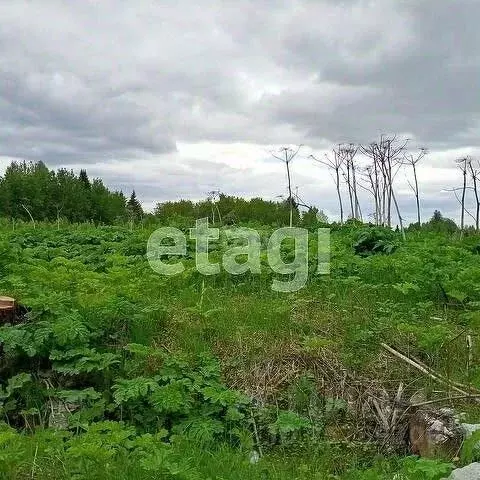 Участок в Коми, Сыктывдинский район, с. Выльгорт  (12.0 сот.) - Фото 0