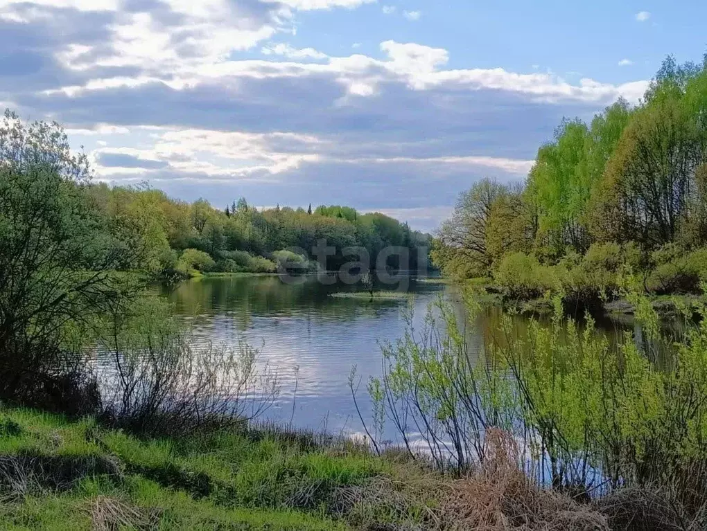 Дом в Марий Эл, Медведевский район, Люльпанское с/пос, д. Орловка ул. ... - Фото 2