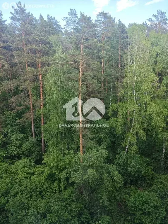 1-комнатная квартира: Новосибирск, Советский район, микрорайон Нижняя ... - Фото 0