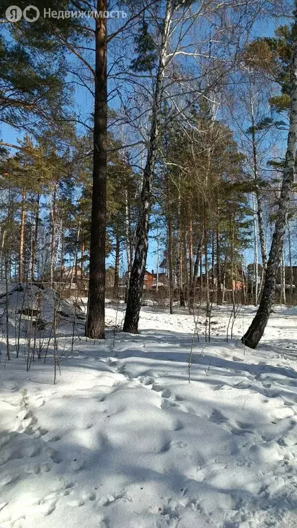 Участок в Иркутский муниципальный округ, СНТ Геолог (4 м) - Фото 1
