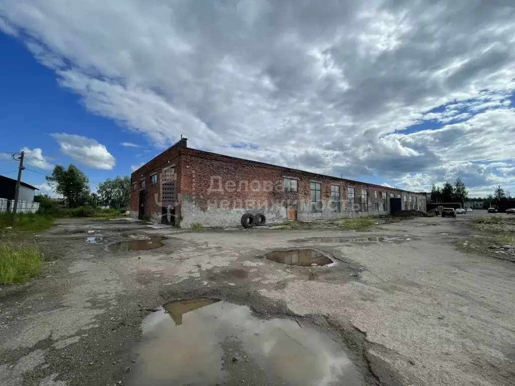 Производственное помещение в Новгородская область, Новгородский район, ... - Фото 1