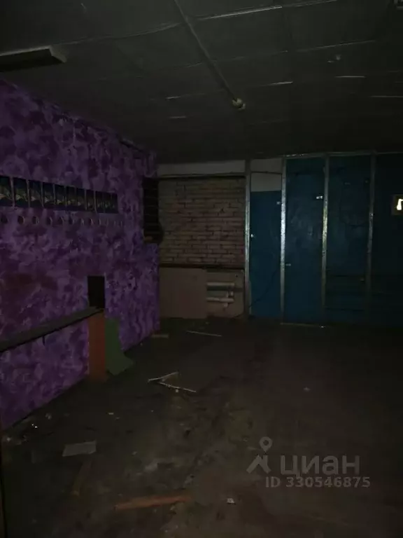 Помещение свободного назначения в Омская область, Омск Звездная ул., ... - Фото 2