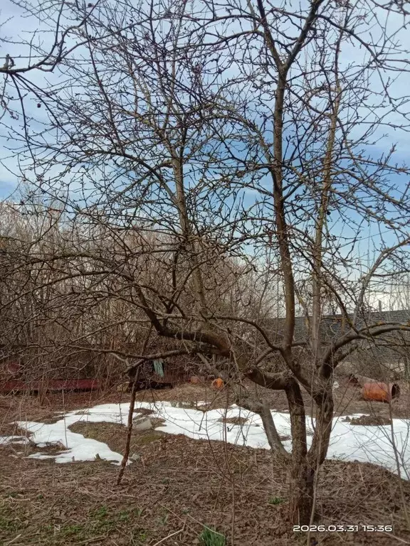 Участок в Москва д. Сальково, 12 (15.0 сот.) - Фото 2