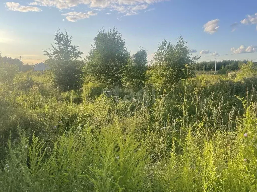 Участок в Новосибирская область, Бердск пл. Максима Горького (10.0 ... - Фото 1