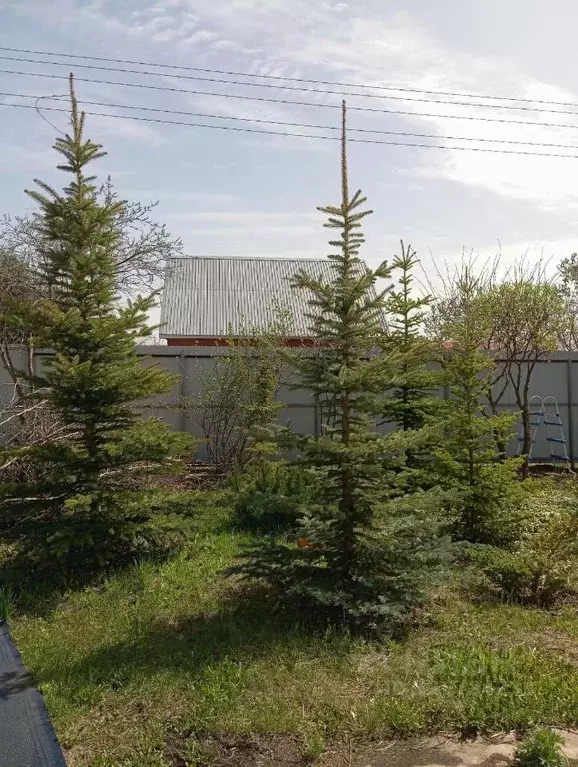 Дом в Самарская область, Ставропольский район, Подстепки с/пос, ... - Фото 2