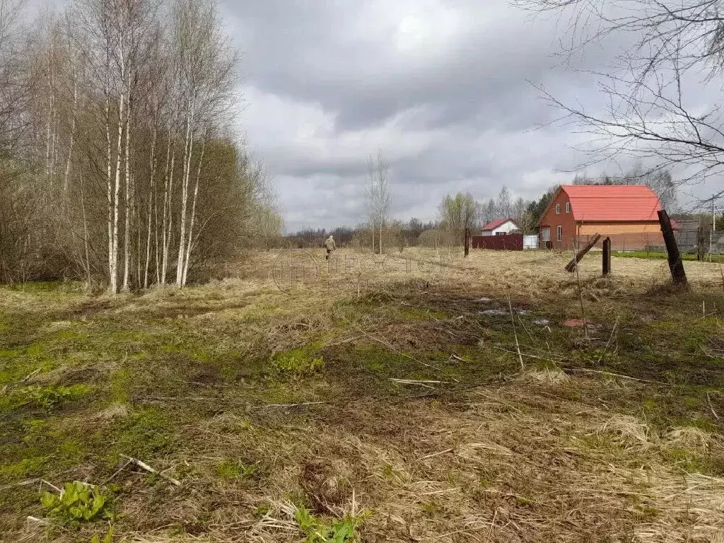 Продается участок в д. Потаповское - Фото 2