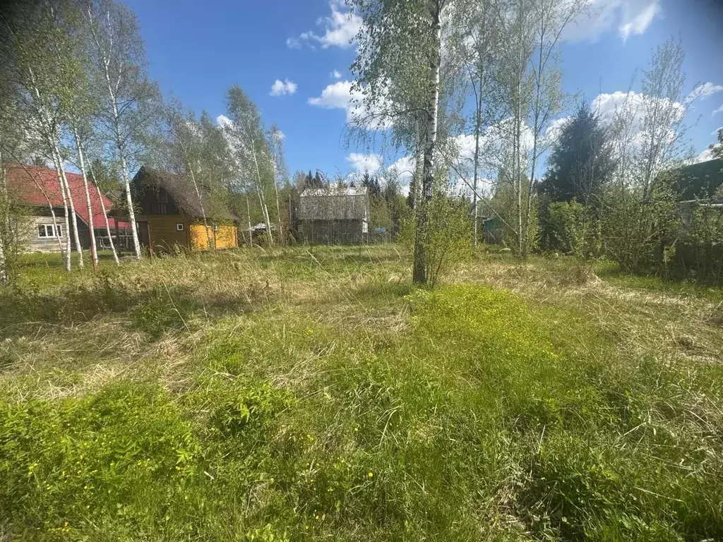 Участок в Московская область, Серпухов городской округ, Элерон СНТ ул. ... - Фото 2