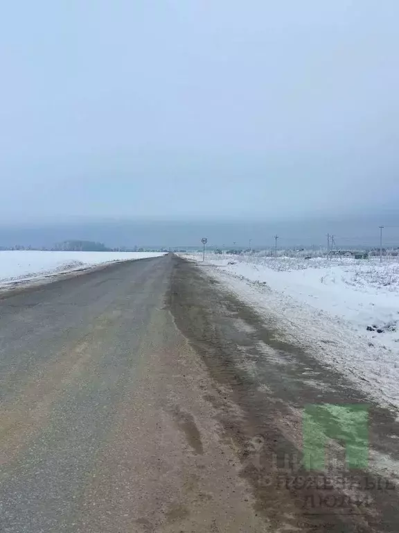Участок в Марий Эл, Йошкар-Ола городской округ, д. Шоя-Кузнецово ул. ... - Фото 2