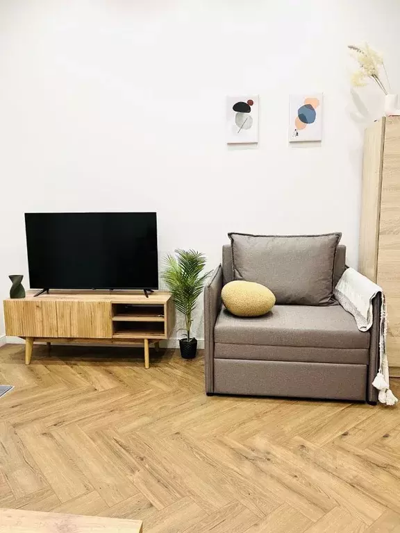 Студия Санкт-Петербург наб. Обводного Канала, 169 (24.3 м) - Фото 2