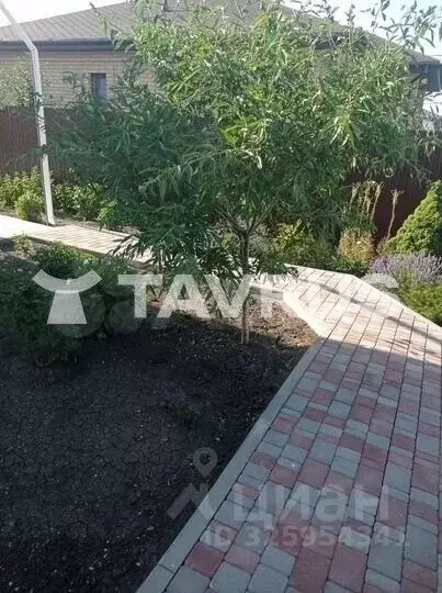 Дом в Крым, Симферопольский район, с. Мирное ул. Ромашковая, 20 (110 ... - Фото 2