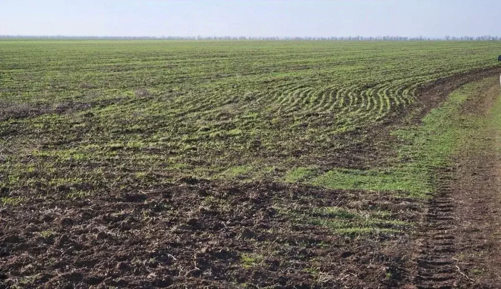 Участок в Крым, Сакский район, с. Охотниково  (402.0 сот.) - Фото 1