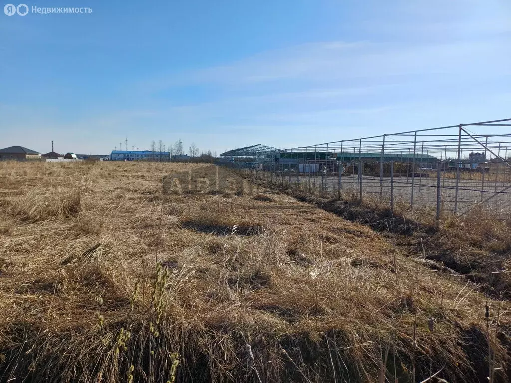 Участок в Новгородский район, Ермолинское сельское поселение, деревня ... - Фото 2