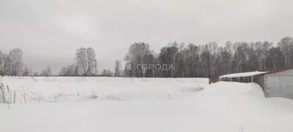Участок в Новосибирская область, Тогучинский район, Буготак ст. ... - Фото 0