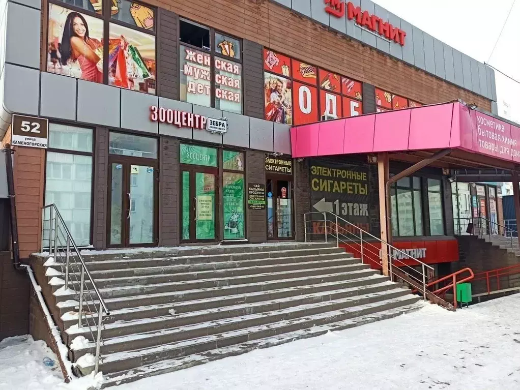 Помещение свободного назначения в Новосибирская область, Новосибирск ... - Фото 0